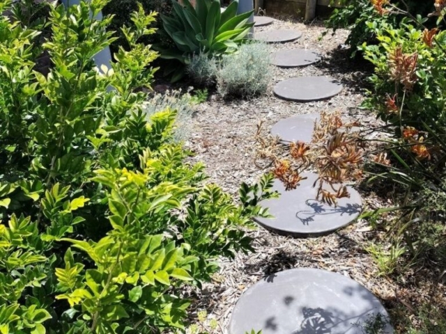 Tuross Head stepping stones within Garden
