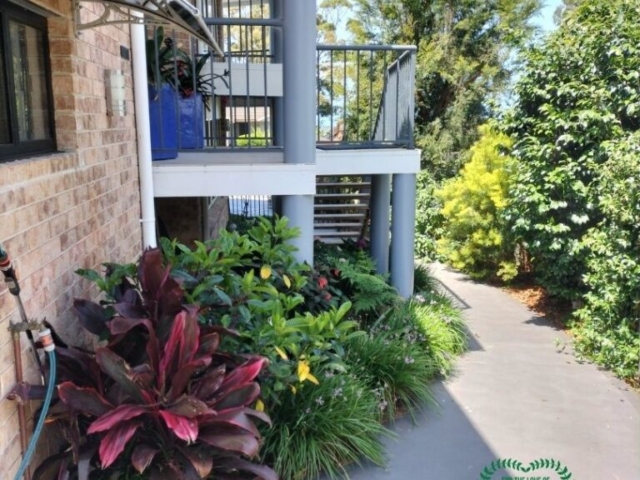 Tuross Head Completed Garden Design